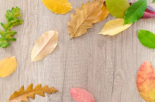 Autumn Half term