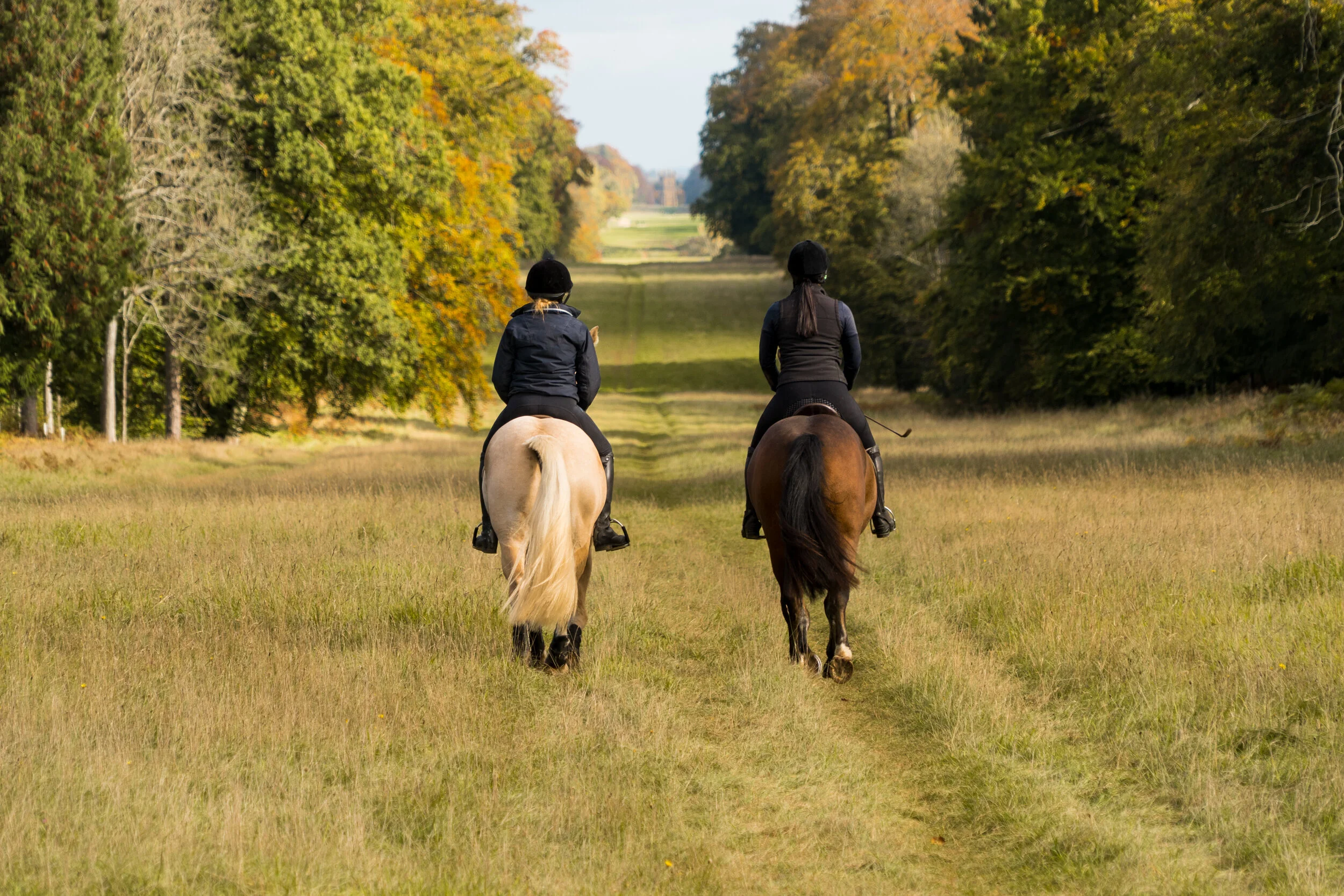 Hacking — Greenhill Equitation