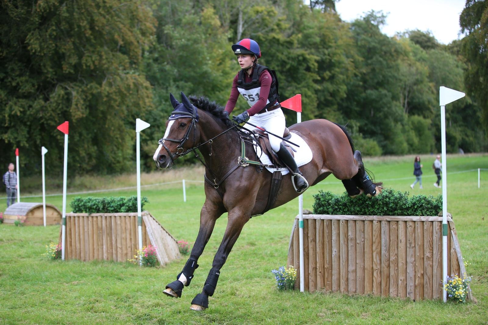 WhatsApp Image 2026-03-20 at 13.13.19.jpeg