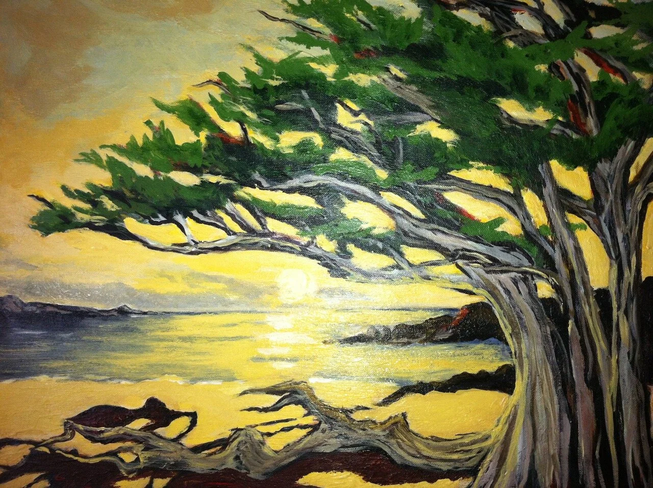 Cypress (sold).jpeg