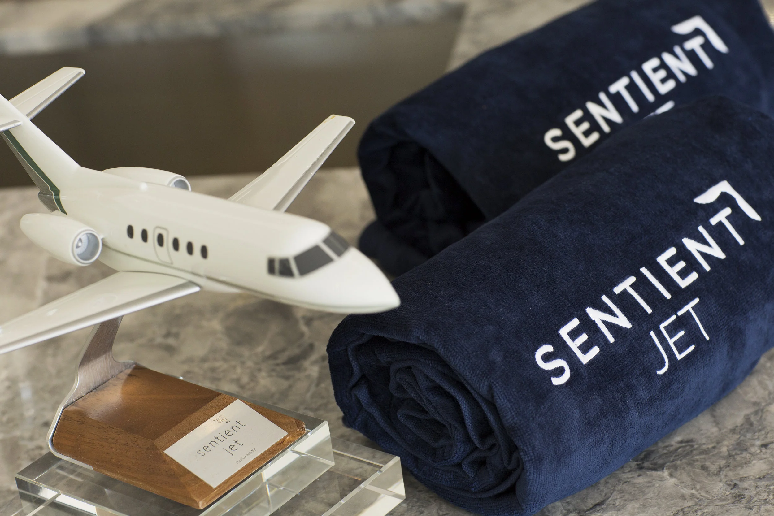 Sothebys_Sentient_Sagaponack_07162017_WQ6A9682.jpg