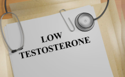 Does Soy Lower Testosterone Levels? See Findings From Studies