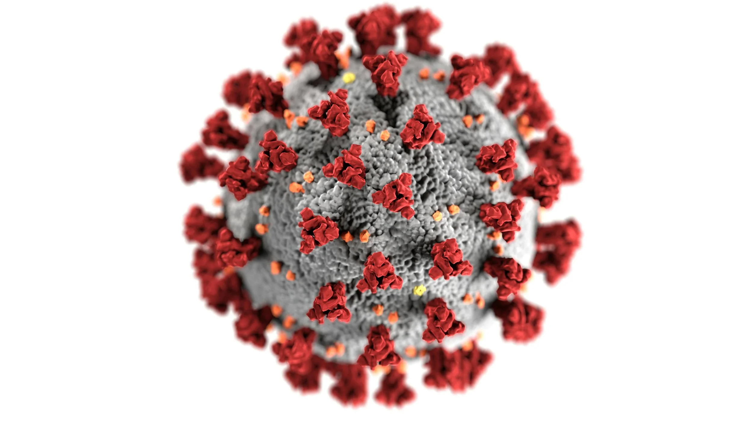 The Link Between NAD+, Inflammation, and Post-Viral Recovery