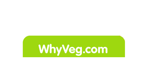 WhyVeg.com — Rethinking seafood: “Cellular aquaculture” pioneers BlueNalu raise US $4.5m