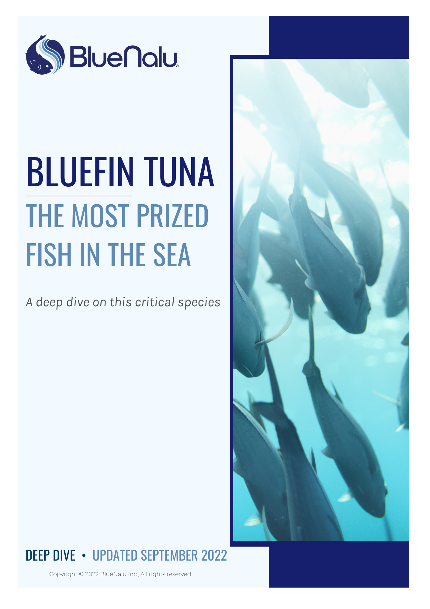 Bluefin Tuna The Most Prized Fish in the Sea_Final2 (1).png