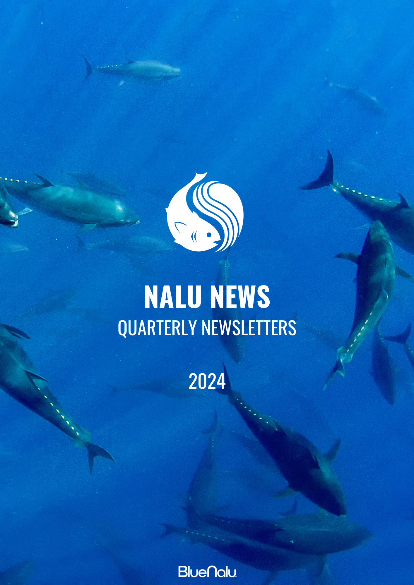 Nalu News pdf.png