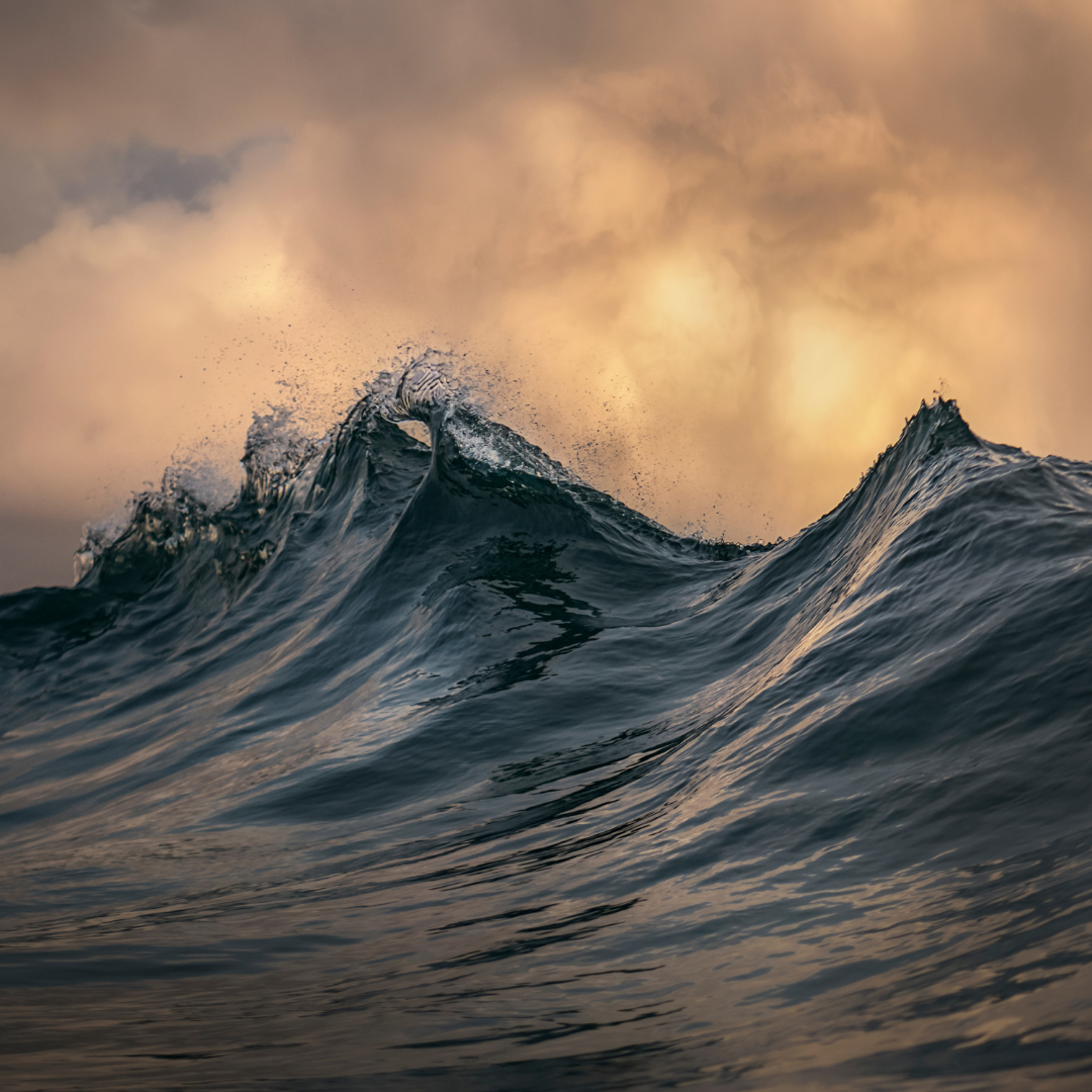 Nalu News Volume 2 Issue 1