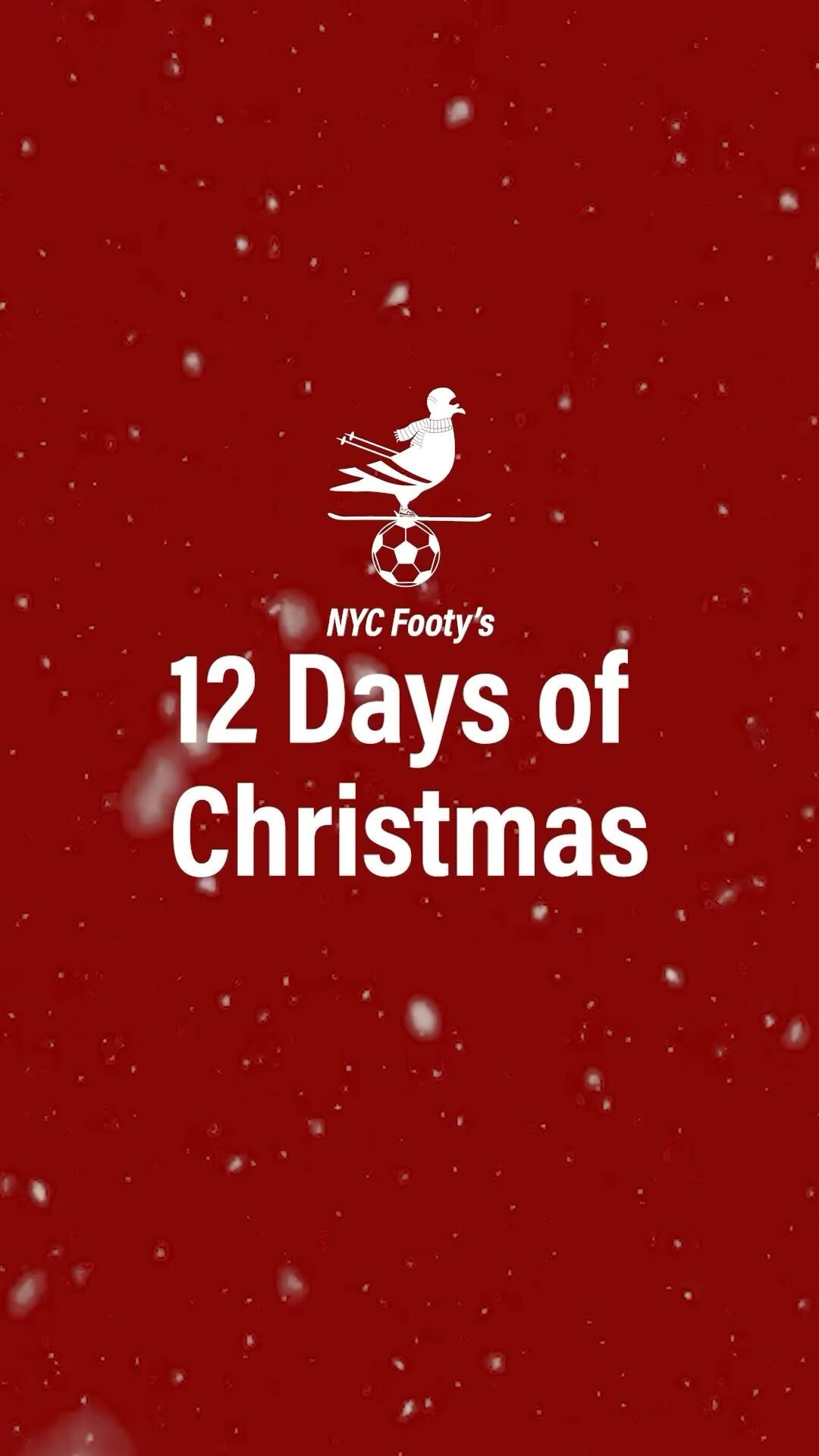 interactive-field-map-nyc-footy