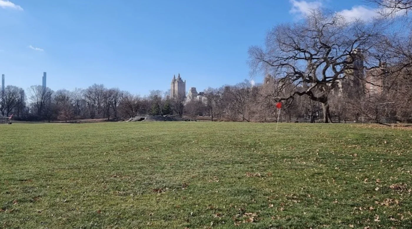 NYC Footy Central Park