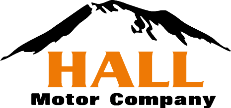 hallmotor_logo[575] (2).png