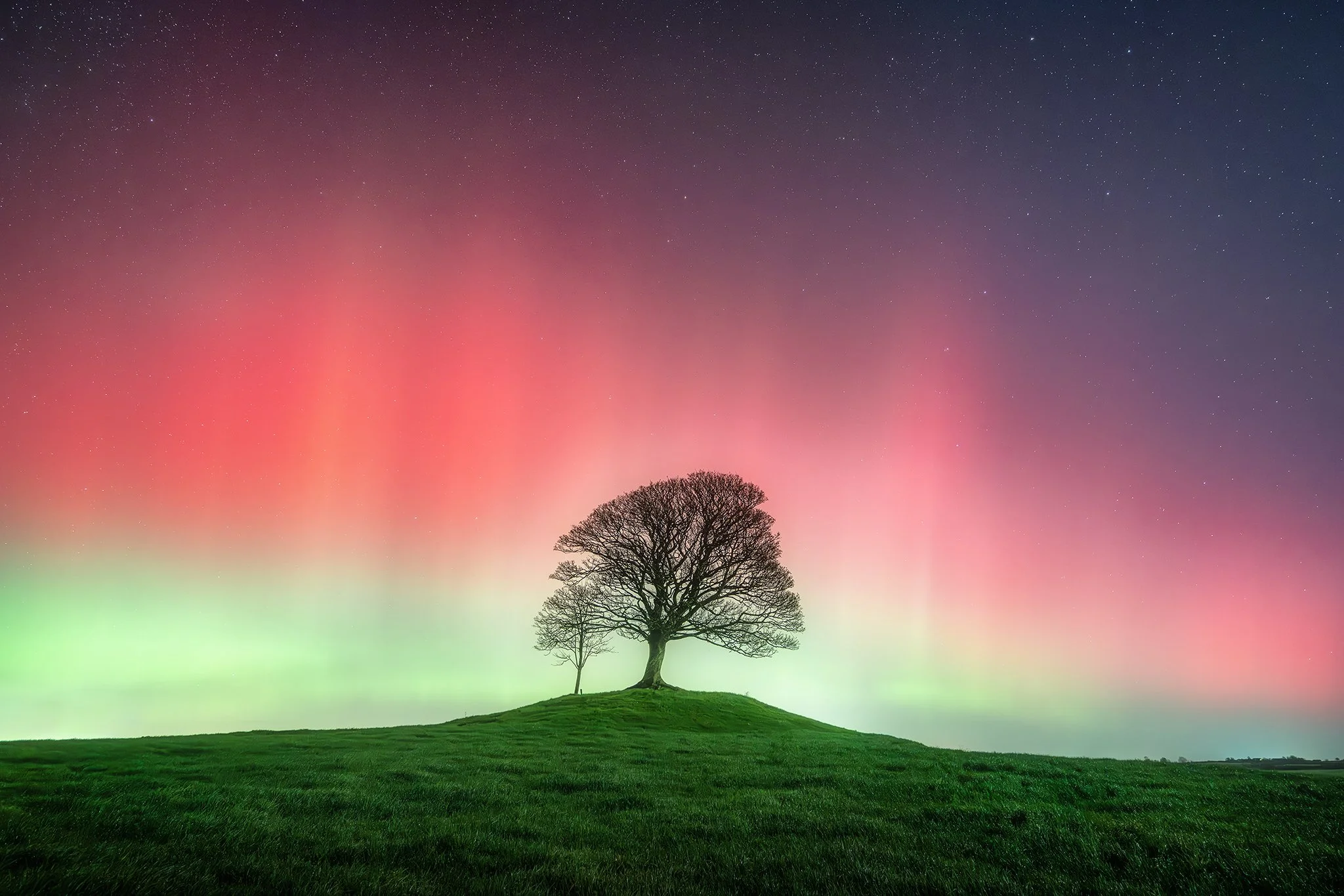 20251112_aurora naul25_3086x.jpg