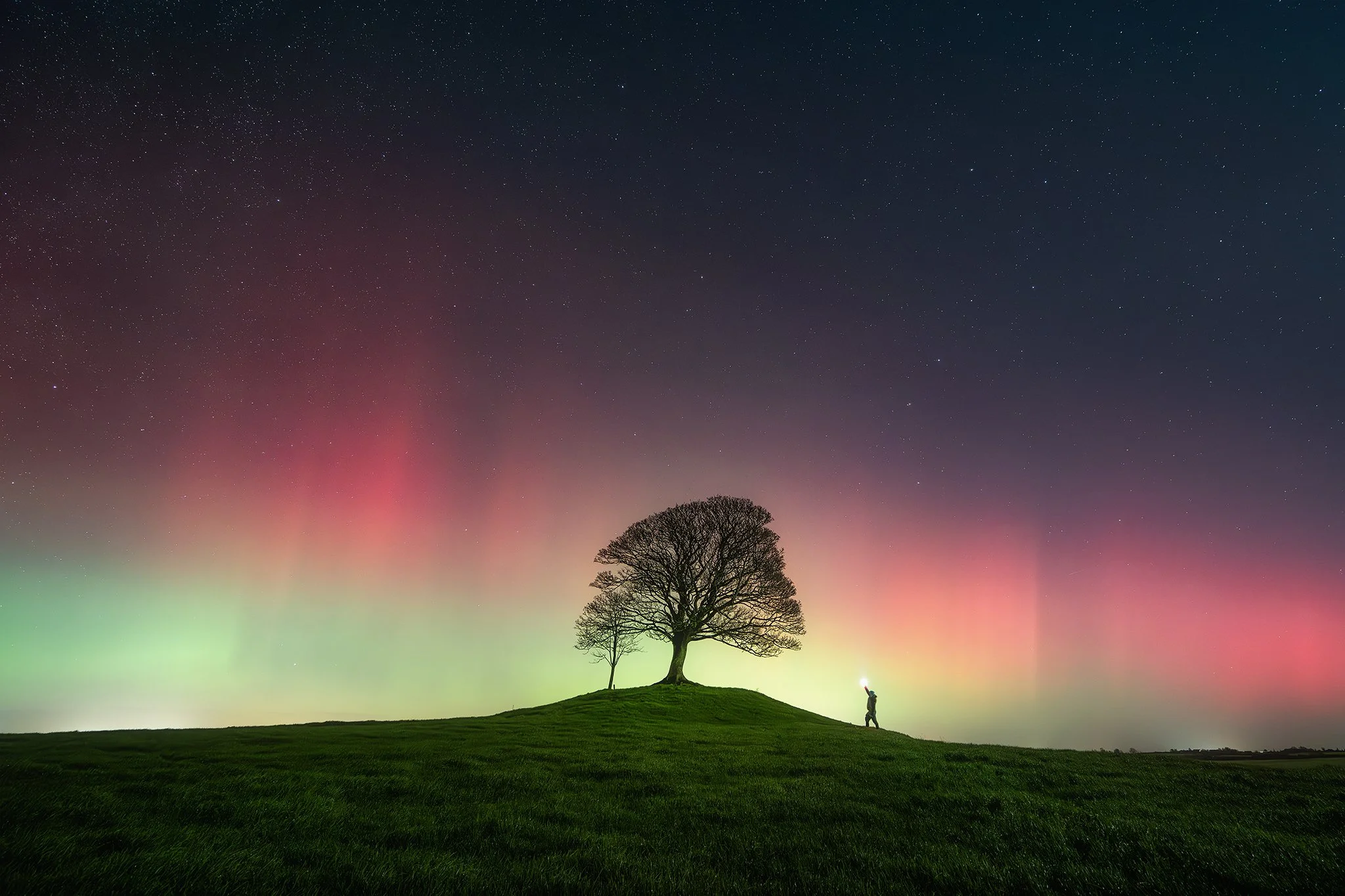 20251112_aurora naul25_3076xxost.jpg