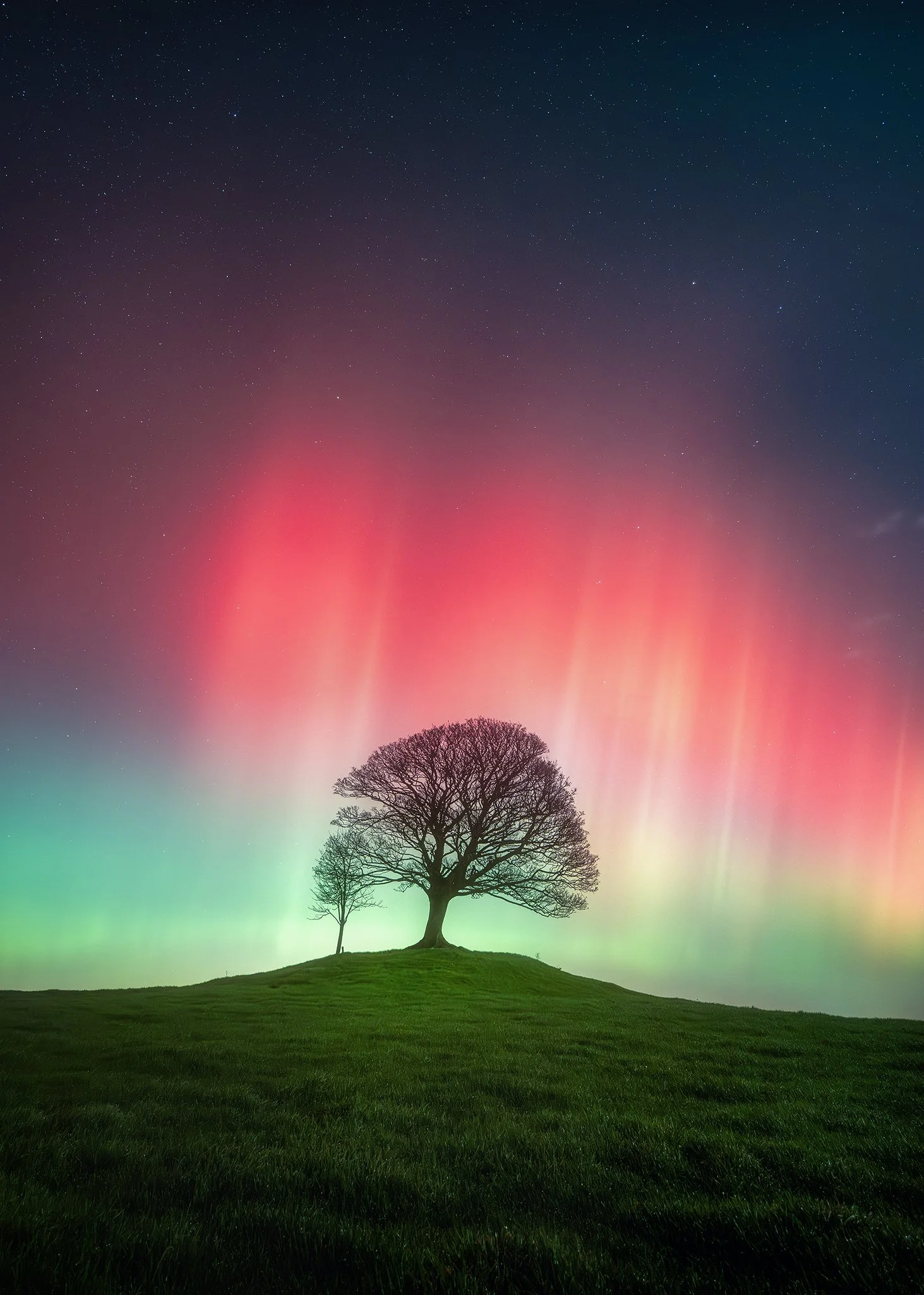 20251112_aurora naul25_3092.jpg