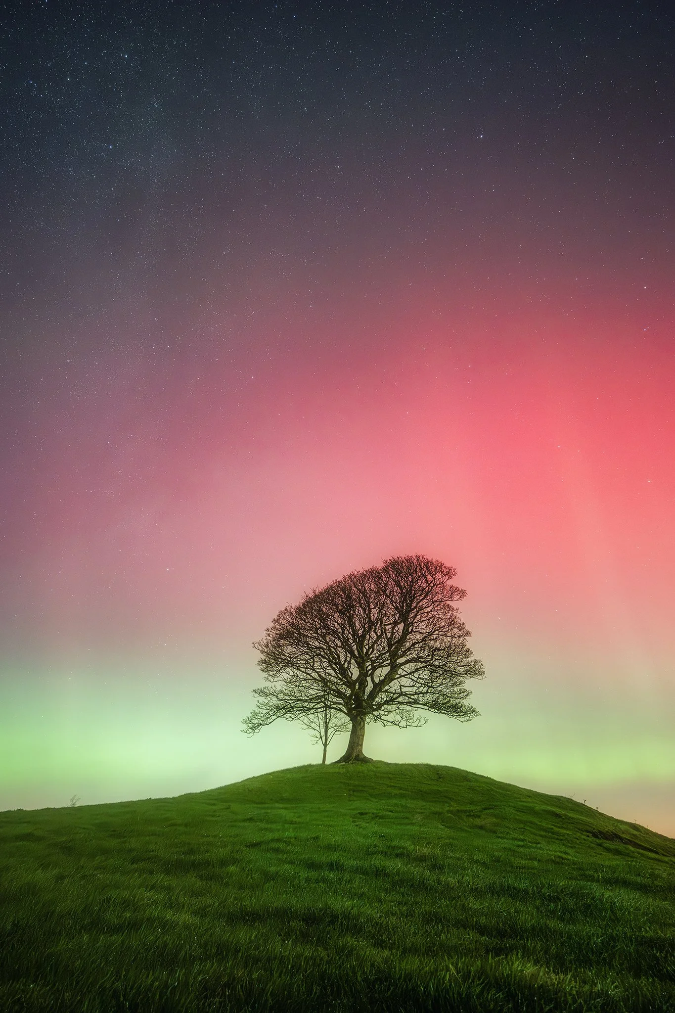 20251112_aurora naul25_3089.jpg