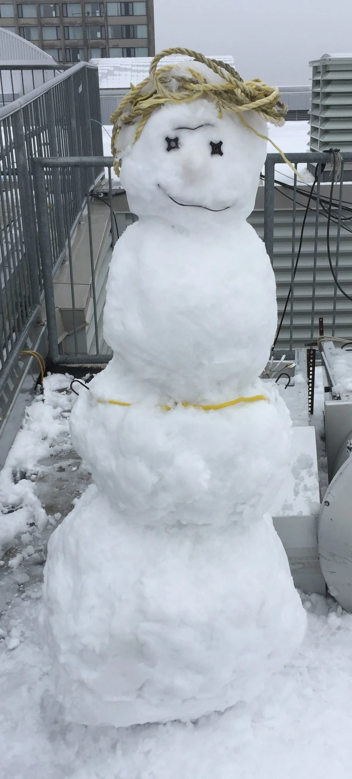 New group member, Snowsef