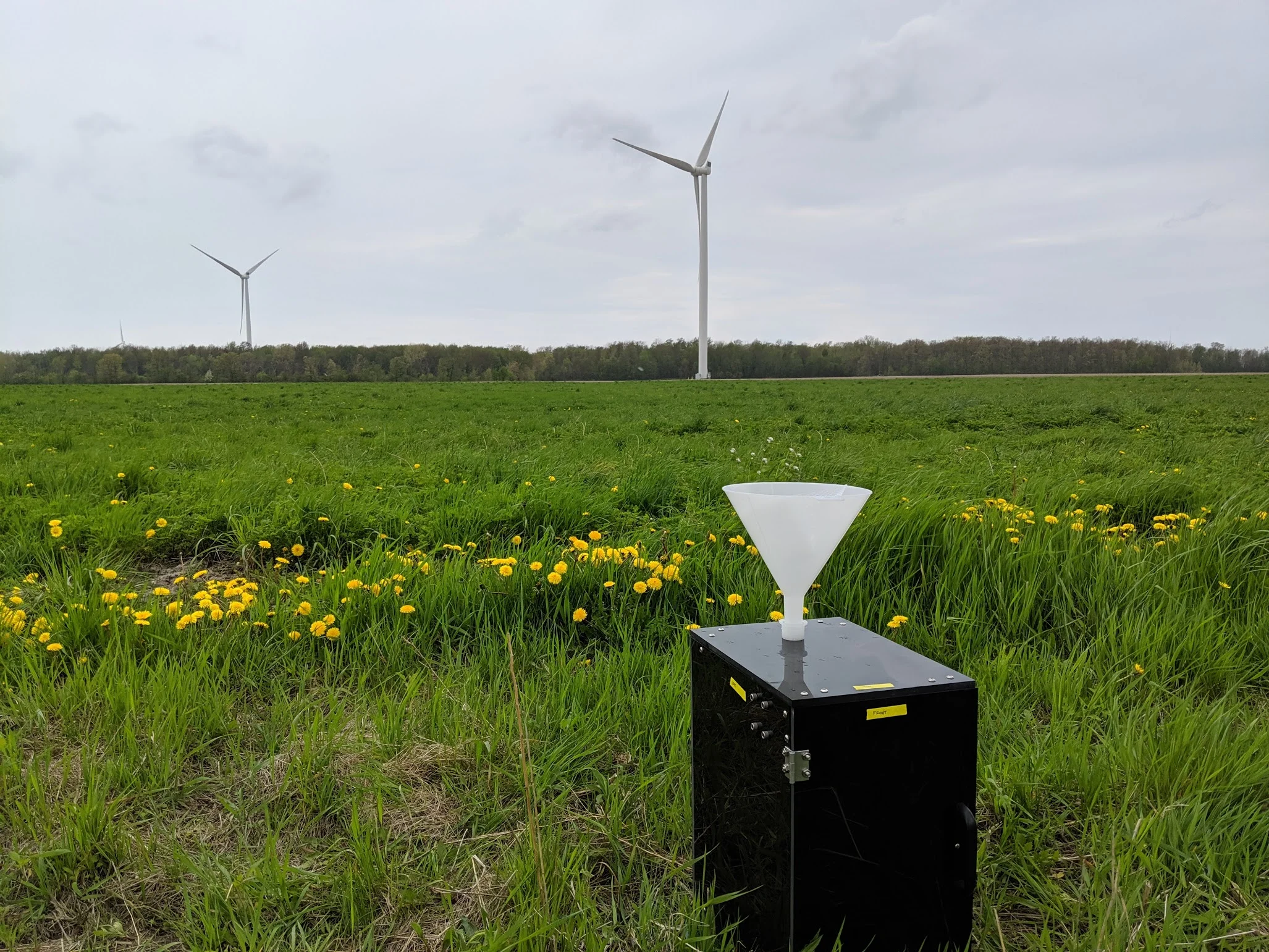 Precipitation sampling in western Ontario