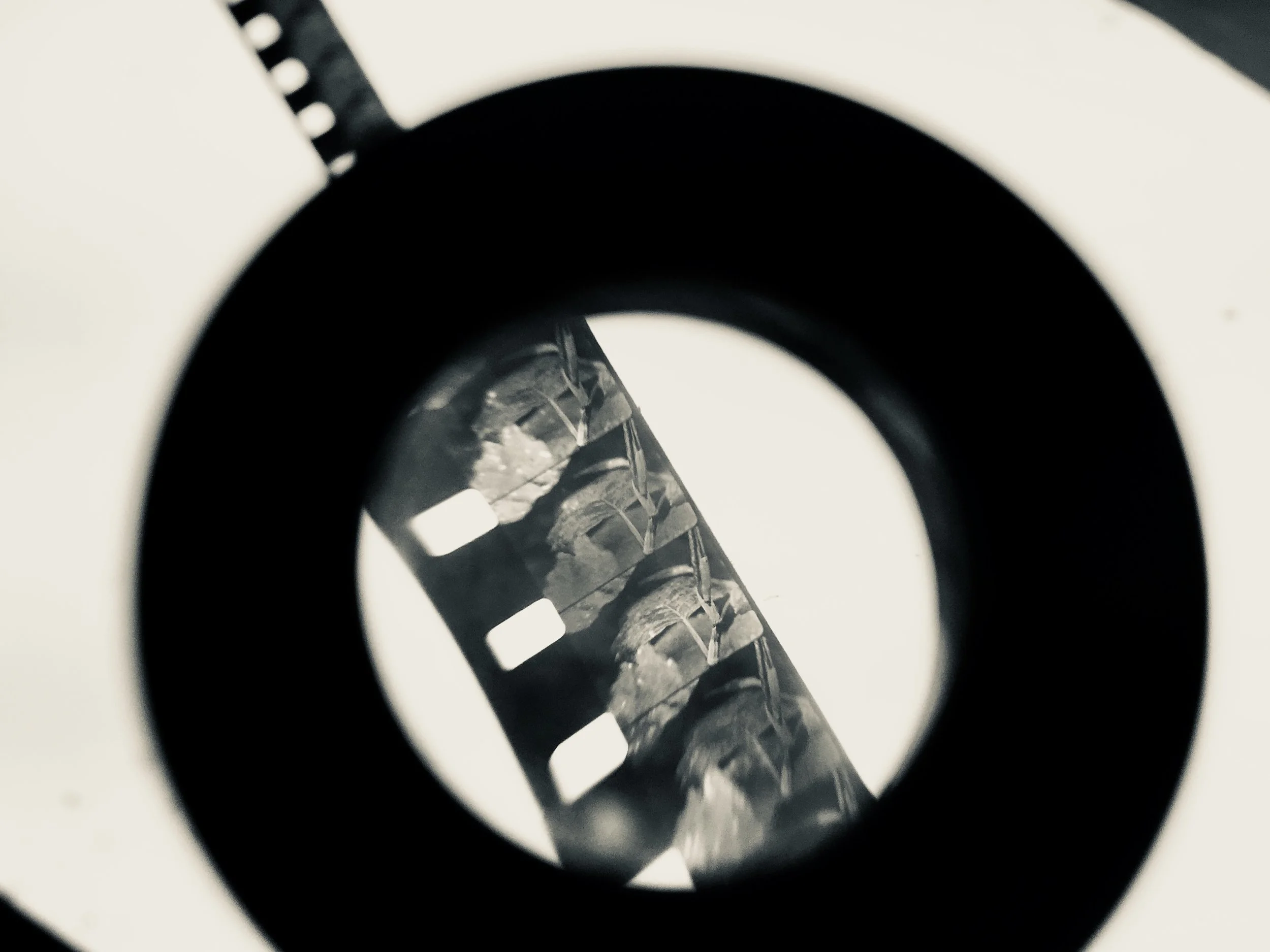 DIY Film Preservation for Filmmakers