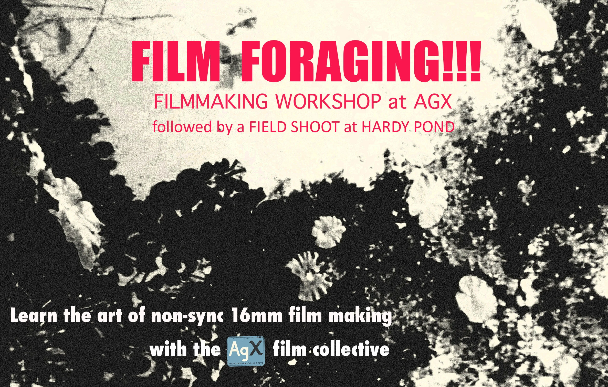 Film Foraging: 16mm Filmmaking Workshop and Field Shoot
