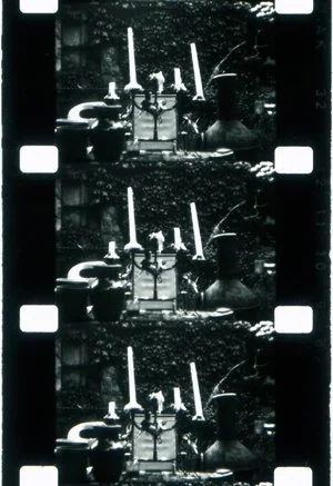 16mm Basics: Shooting and Processing