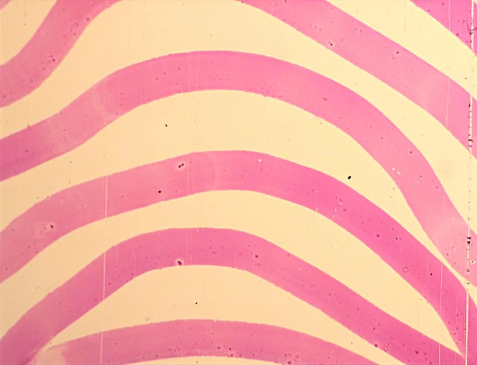 pink stripes.jpg
