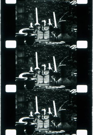 Hand-Processing Black & White Reversal Film Workshop