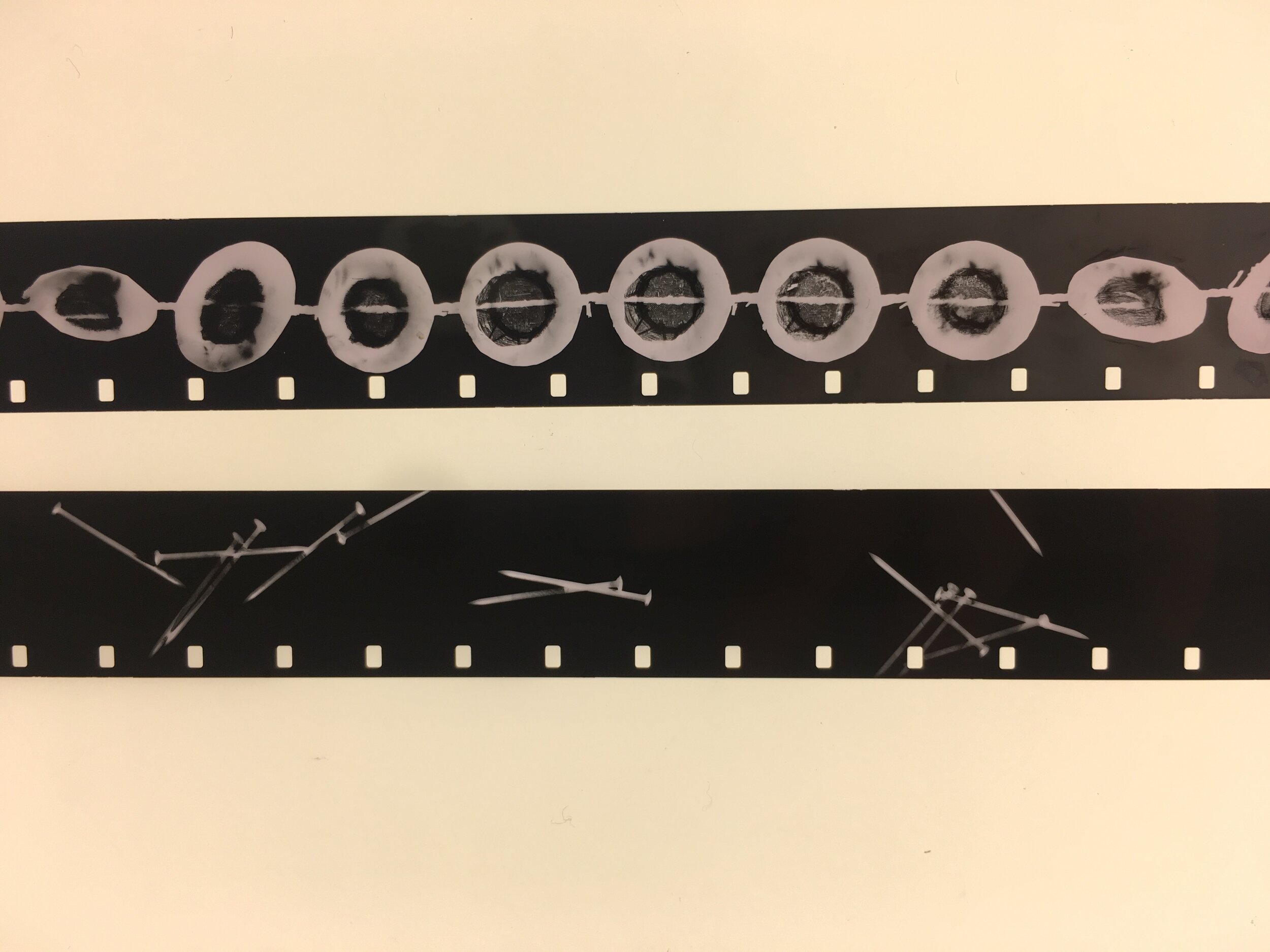Cameraless Filmmaking: Photograms &amp; Ray-o-grams