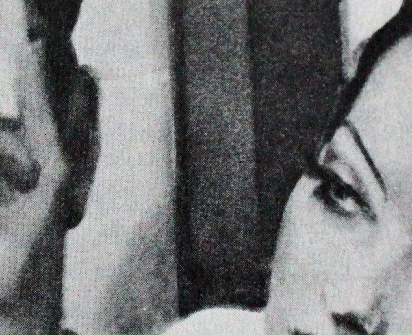 Hypnotic Suggestions: Recent Works by the AgX Film Collective