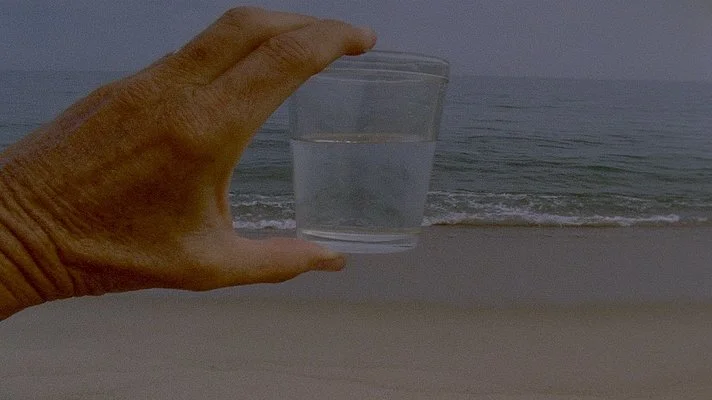 Lynne Sachs: films made by a woman who…