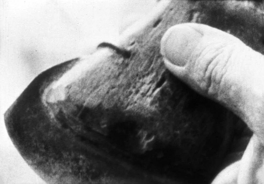 still from What She Would Not Leave Behind