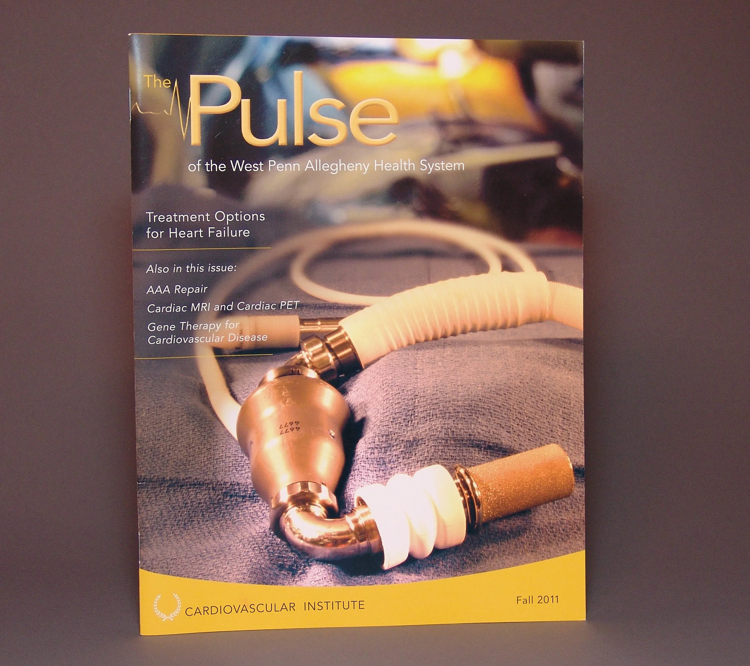  The Pulse - a Cardiovascular Institute magazine sent to area physicians to eductae them about the newest advances in heart treatment. 