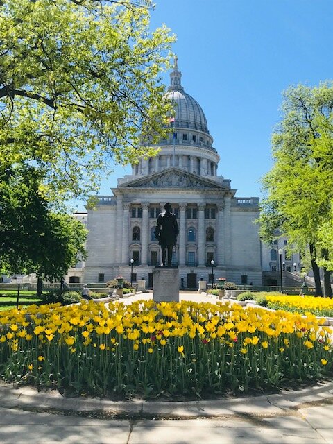 capitolpicspring.jpeg