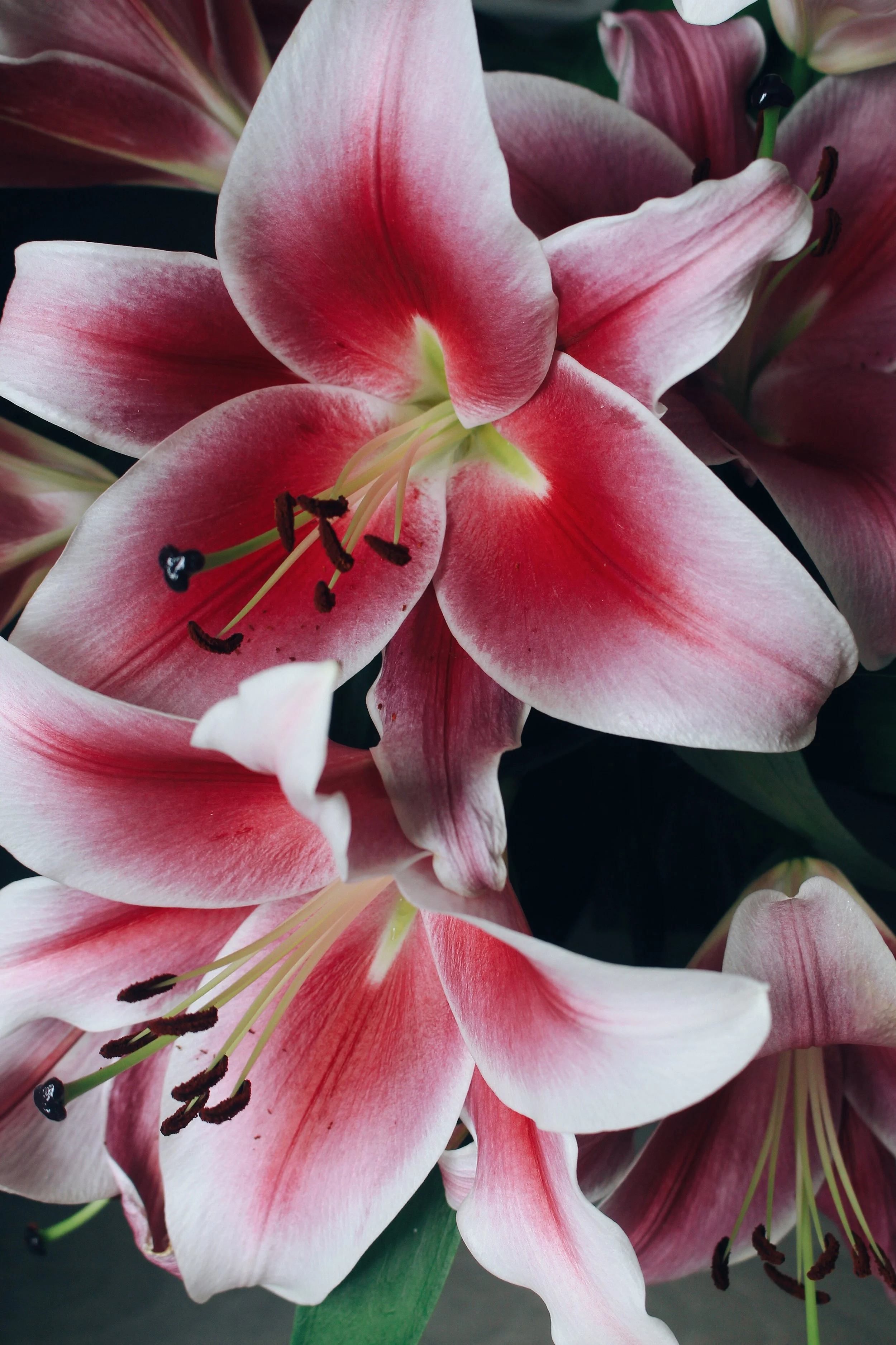 flowers-french-kitchen.jpeg