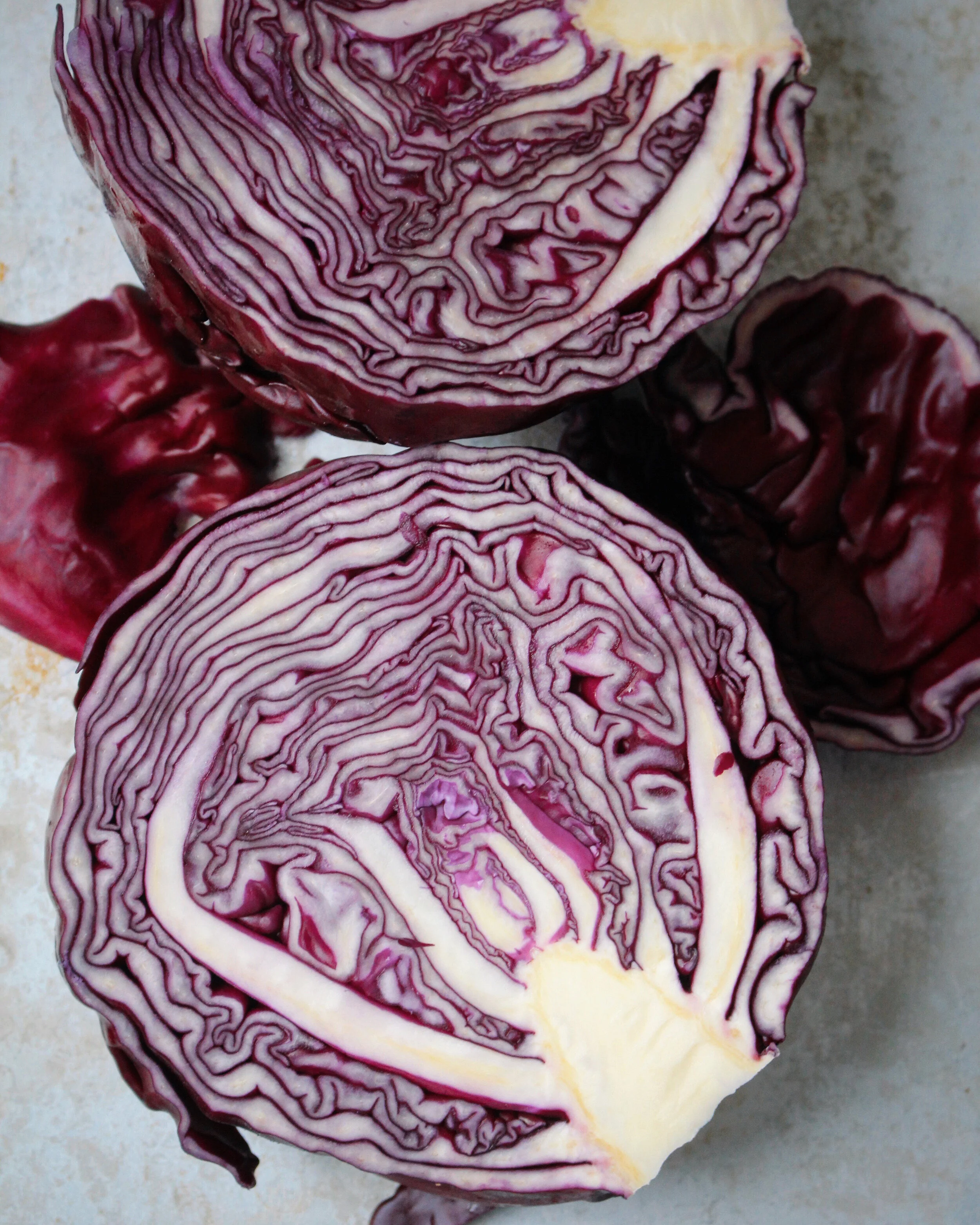 RED CABBAGE