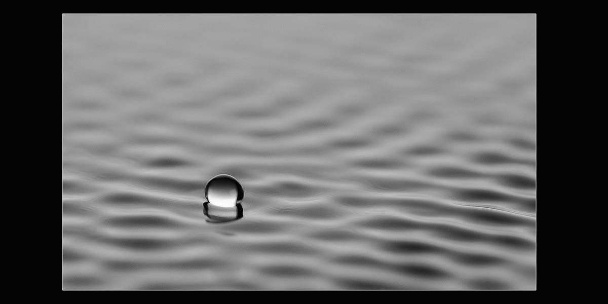 water dance monica royal macro photograph of single drop of water on surface of water black and white abstract  art
