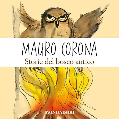 5-Storie del bosco antico.jpg