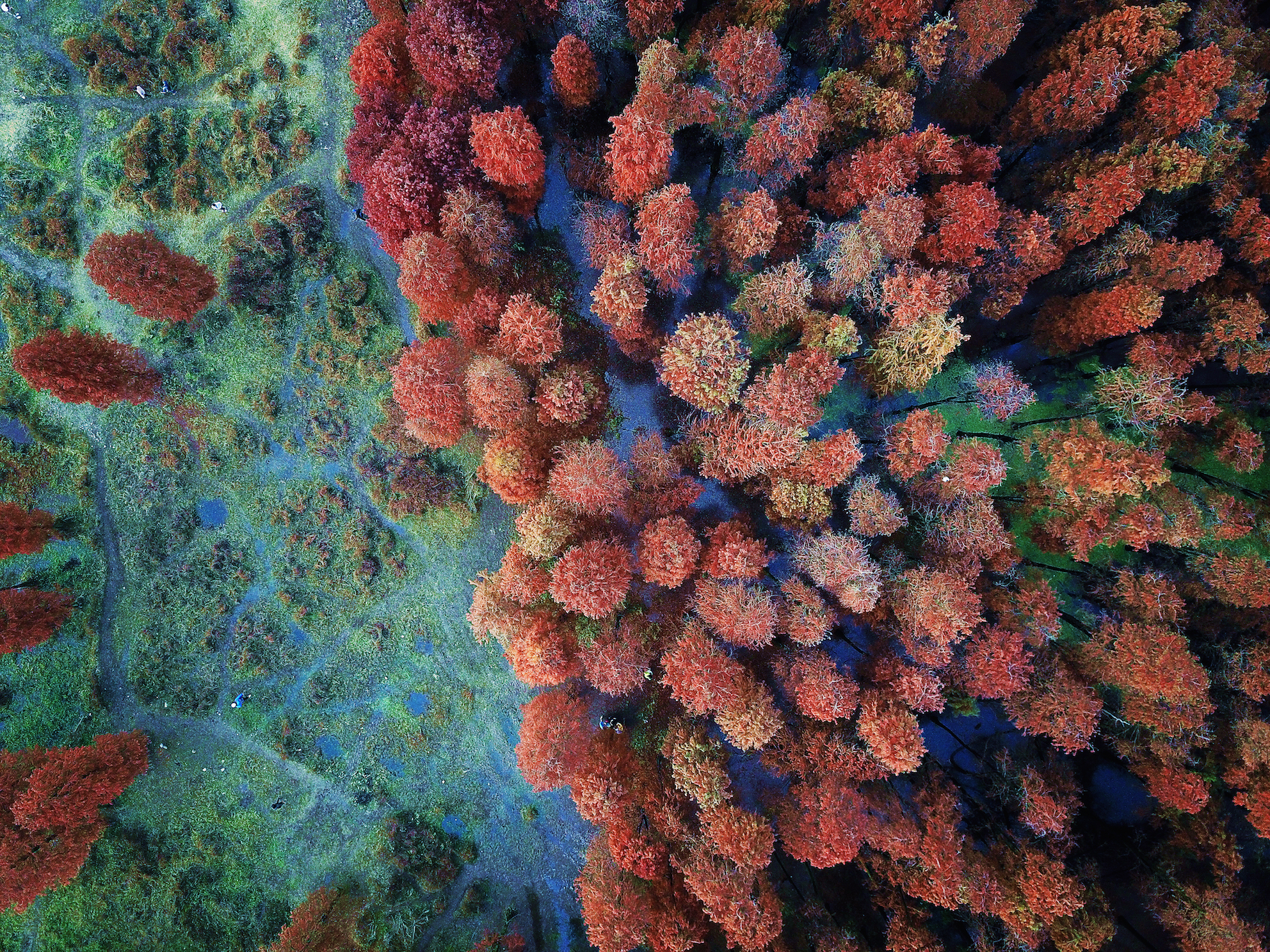 IL MIO AMORE PER LA CINA – Un’italiana a Yuyao