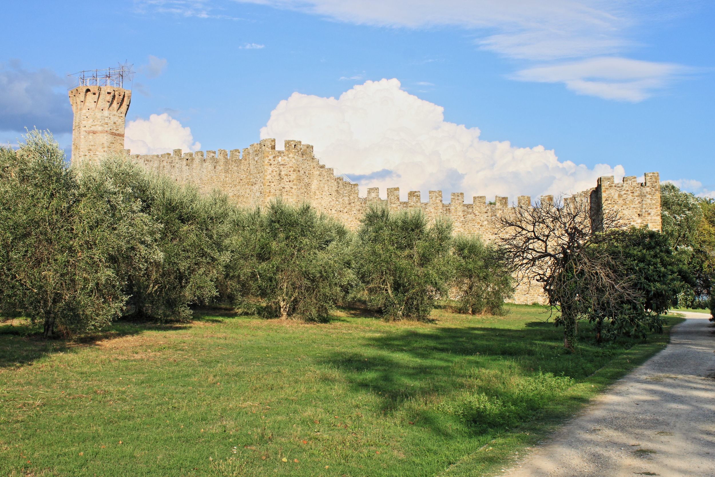 Il castello medioevale