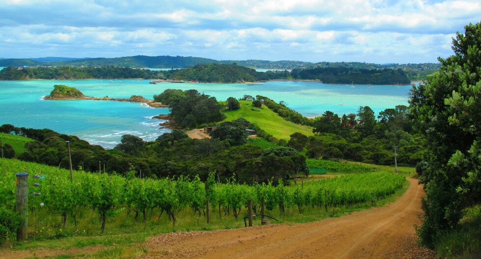 waiheke.jpg