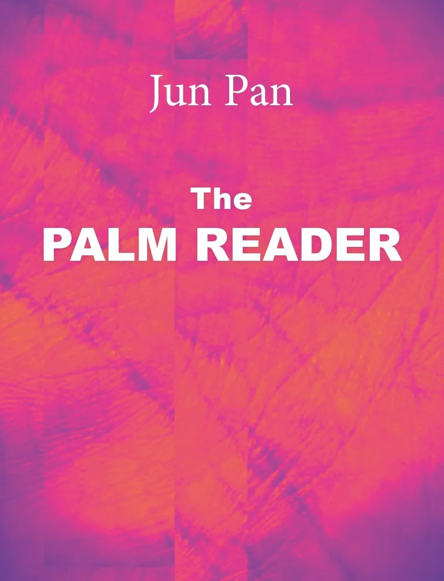 THE PALM READER - A book about love, water, and the power of memories