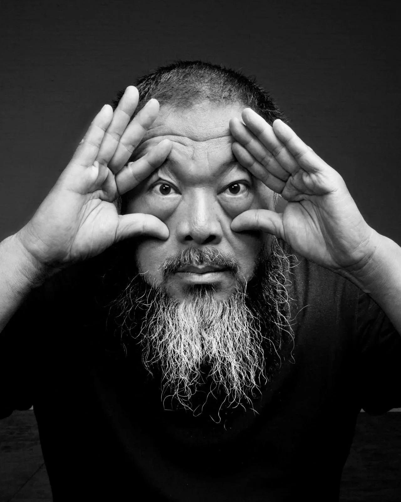 AI WEIWEI – "I nemici creano gli eroi"