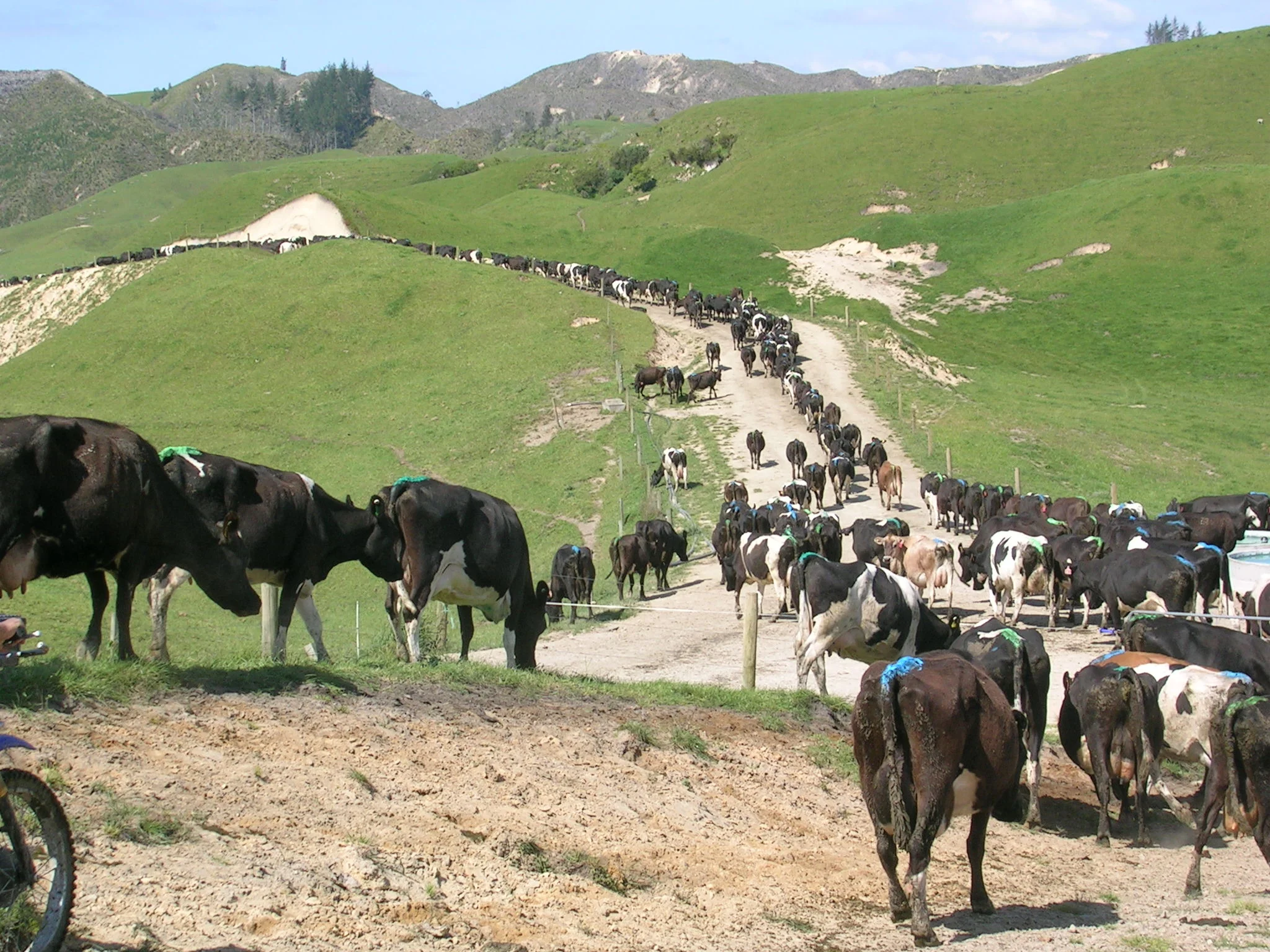 ATV Honda A5 gasket leak 09-09-07 012.jpg