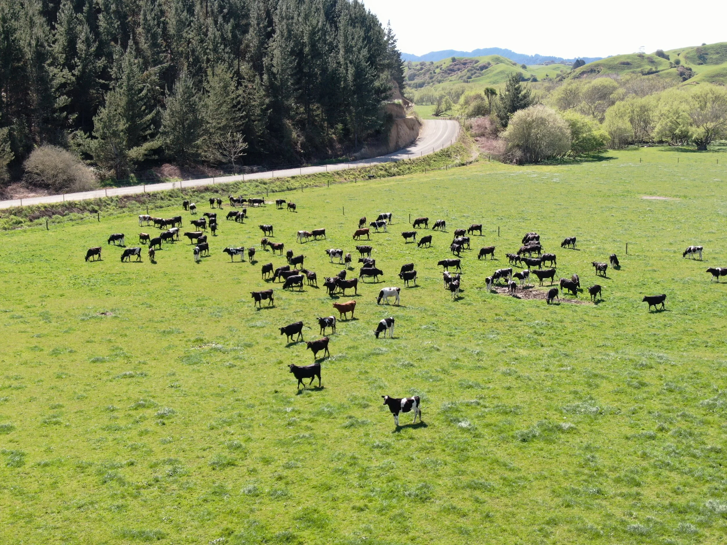 Update to Sisam and Sons Shareholders – 23 Apr 2020