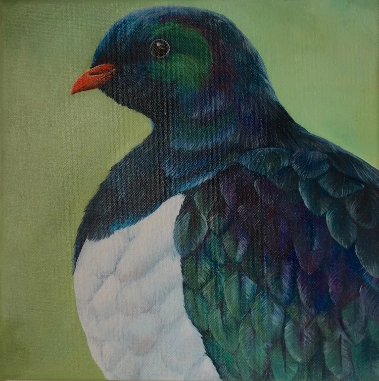 New Zealand Native Birds series: Kereru