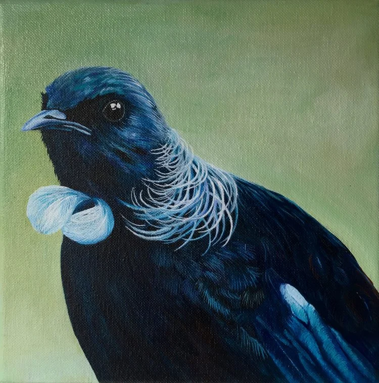 New Zealand Native Birds series: Tui