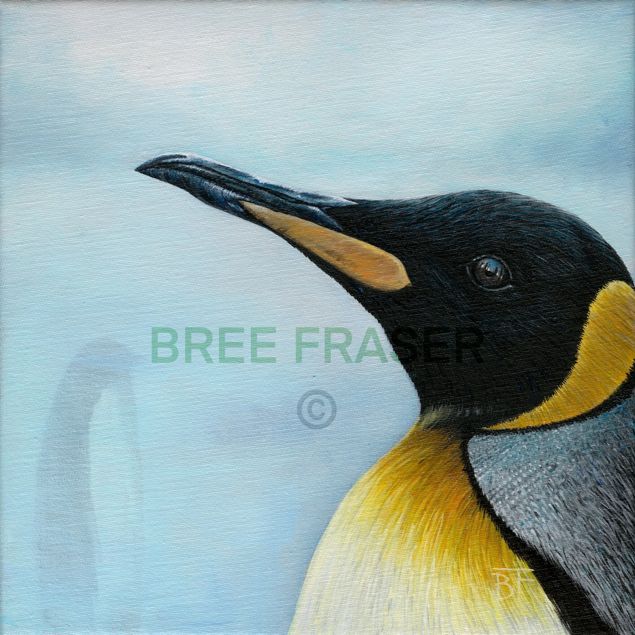 3A4E9C6F-8A81-4F59-B0FB-90E1F53B0AFE