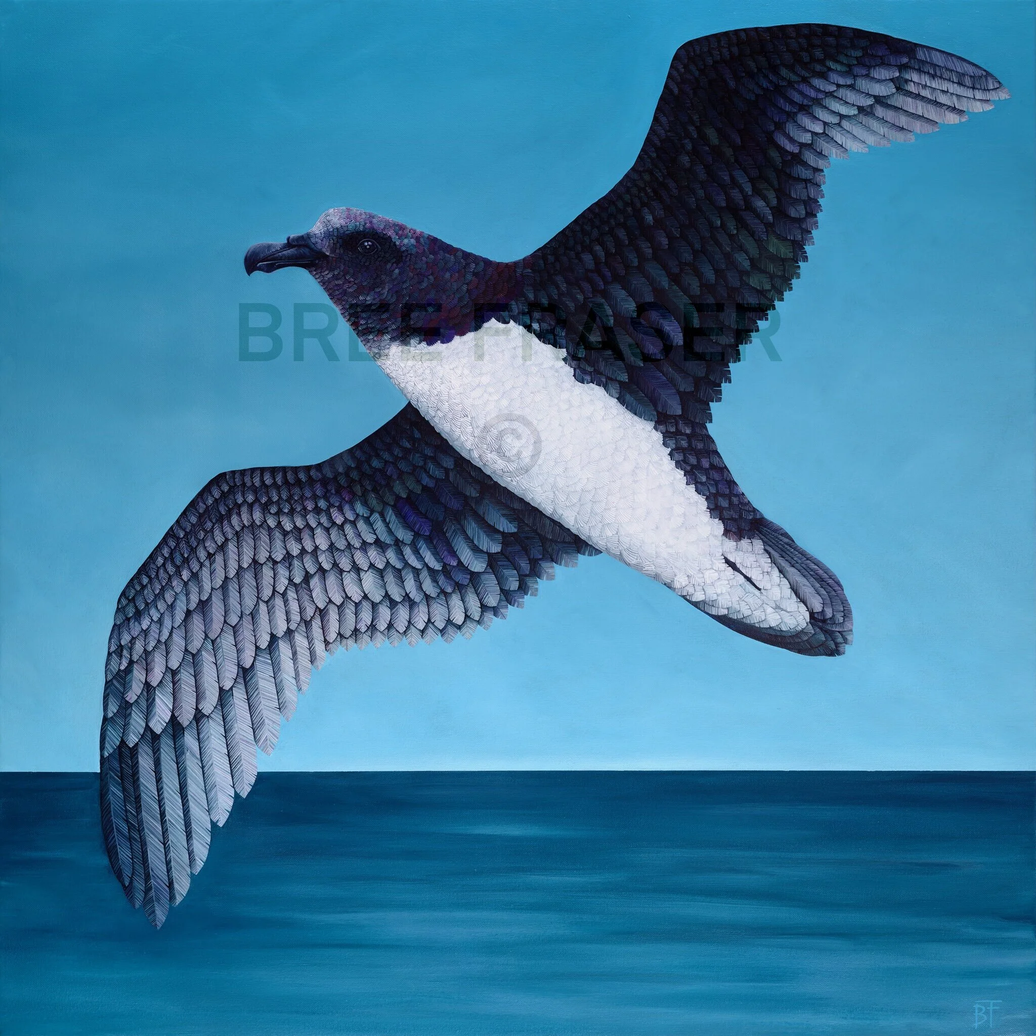 1497B02A-9A1F-404B-9D77-17927BA193D0