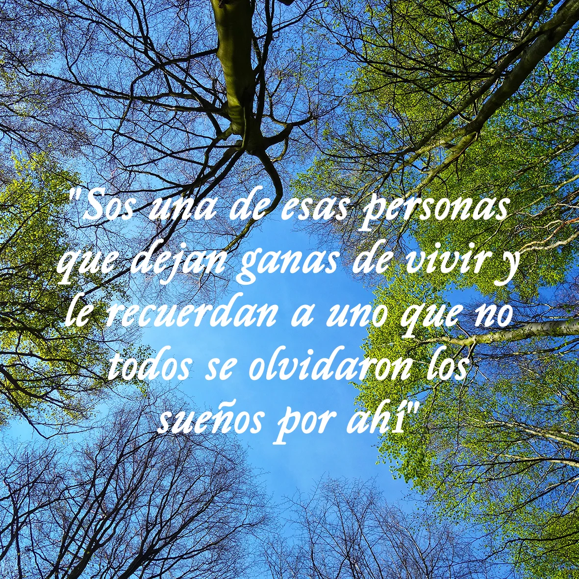Frases3.jpg