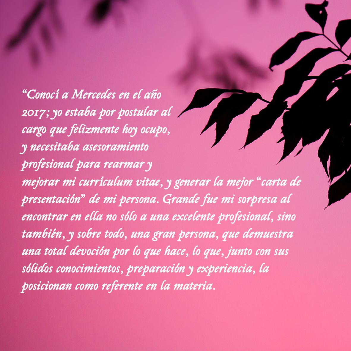 Frase 2final1.jpg