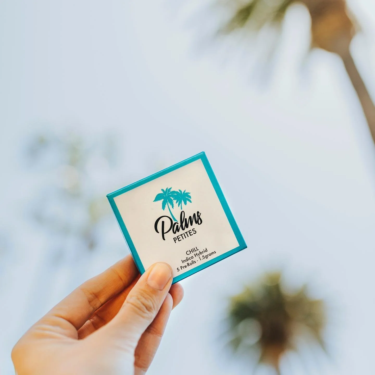 Just CHILL🌴Our petites are the perfect size