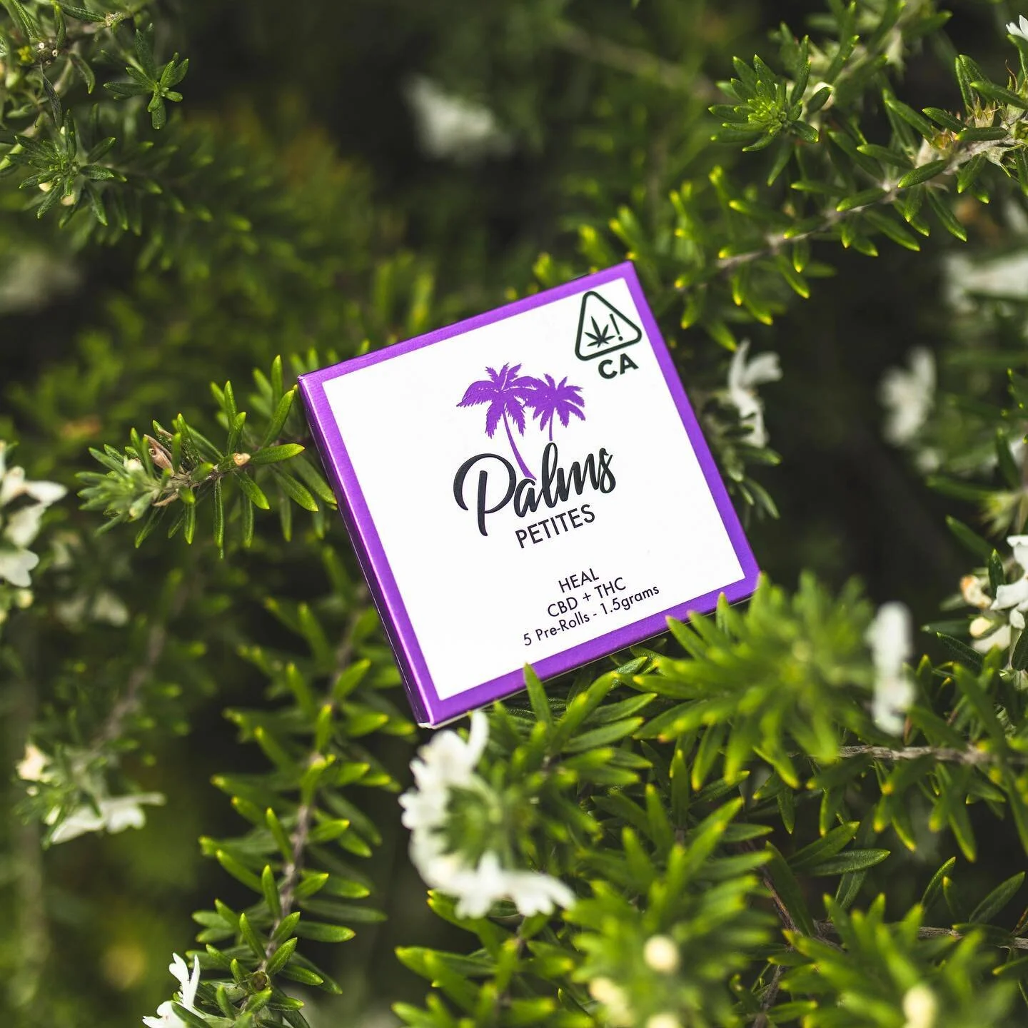 Resting and relaxing this weekend?🌴Our Heal pre-rolls are a perfect way to take the edge off and the ideal product to introduce your friends and family to cannabis